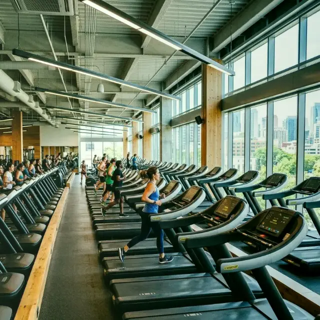 Silber Kormoran — Fitnessstudio Galerie 5