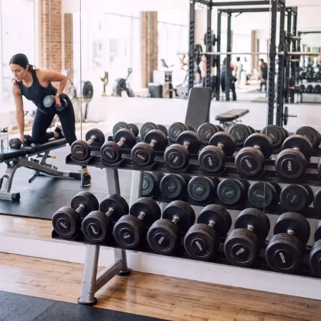 Silber Kormoran — Fitnessstudio Galerie 2